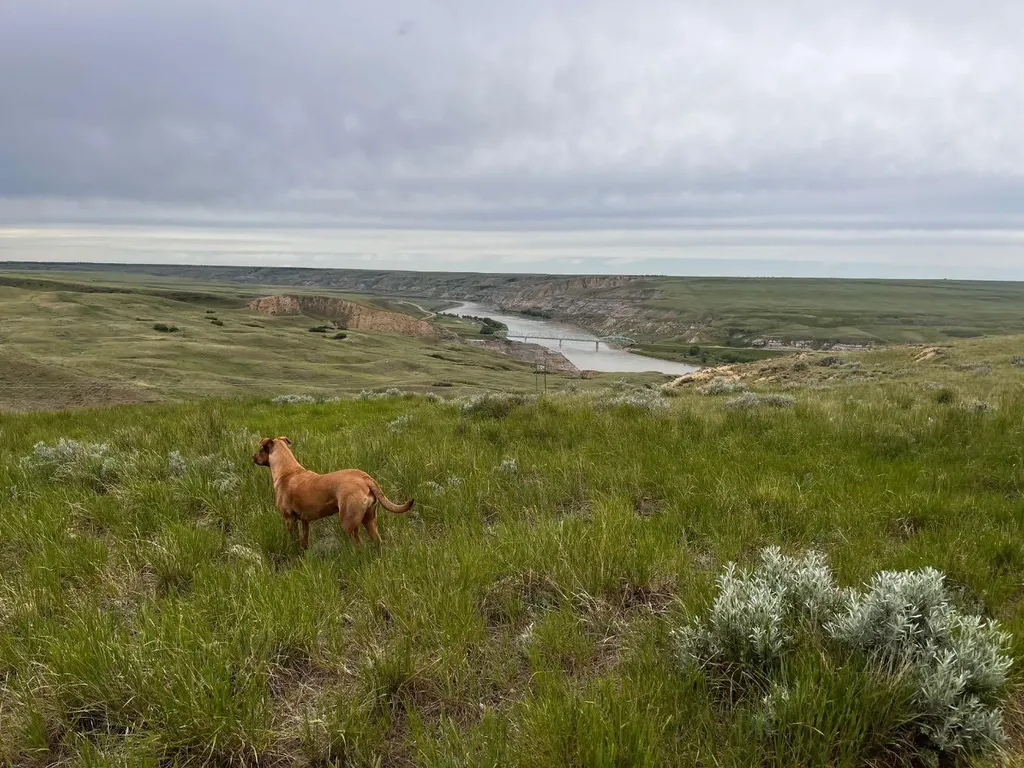 Ne, NW 27 20 1 W4, All Sec 28 20 1 W4, SE 29&se 34 Rural Cypress County AB T0J 0H0