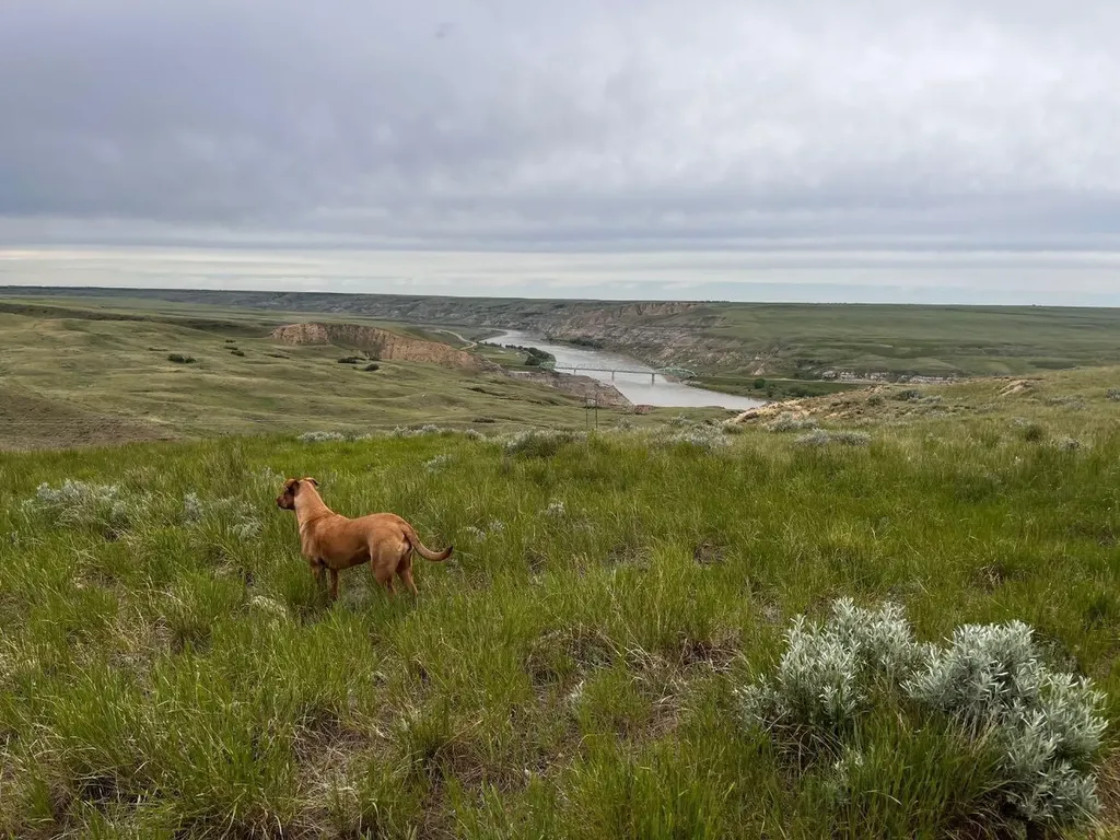 Ne, NW 27 20 1 W4, All Sec 28 20 1 W4, SE 29&se 34 Rural Cypress County AB T0J 0H0