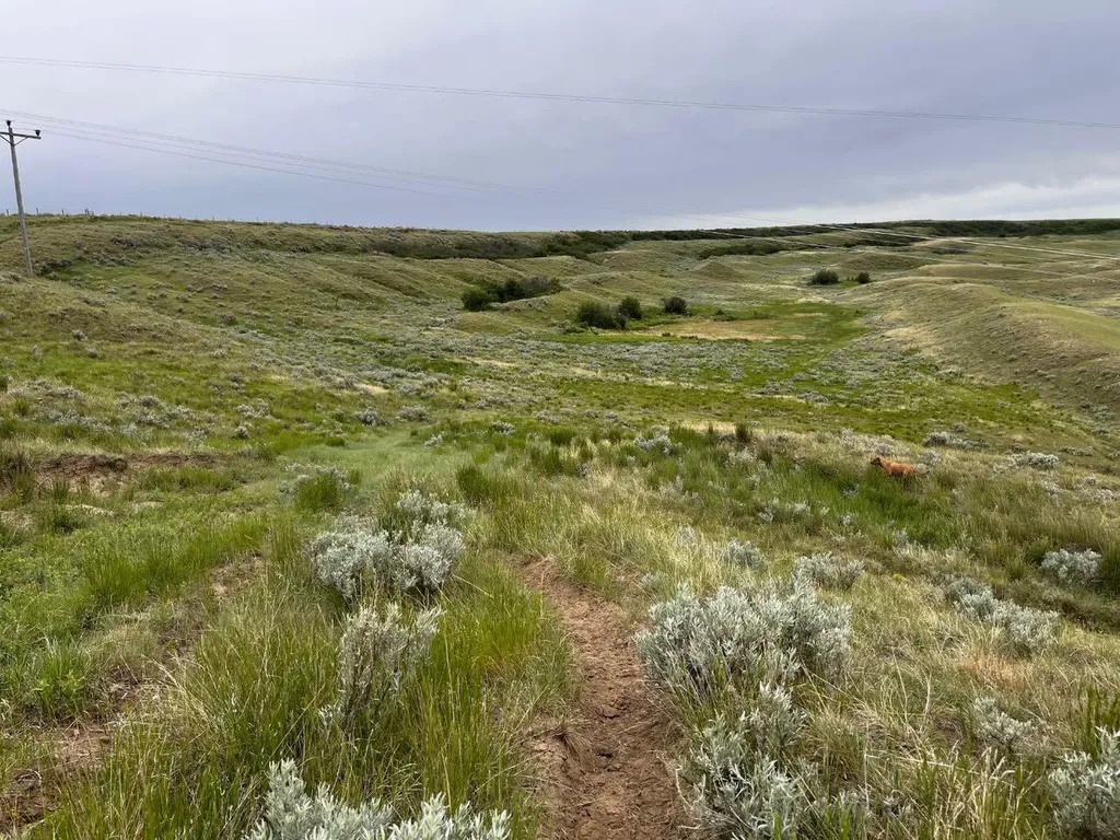 Ne, NW 27 20 1 W4, All Sec 28 20 1 W4, SE 29&se 34 Rural Cypress County AB T0J 0H0