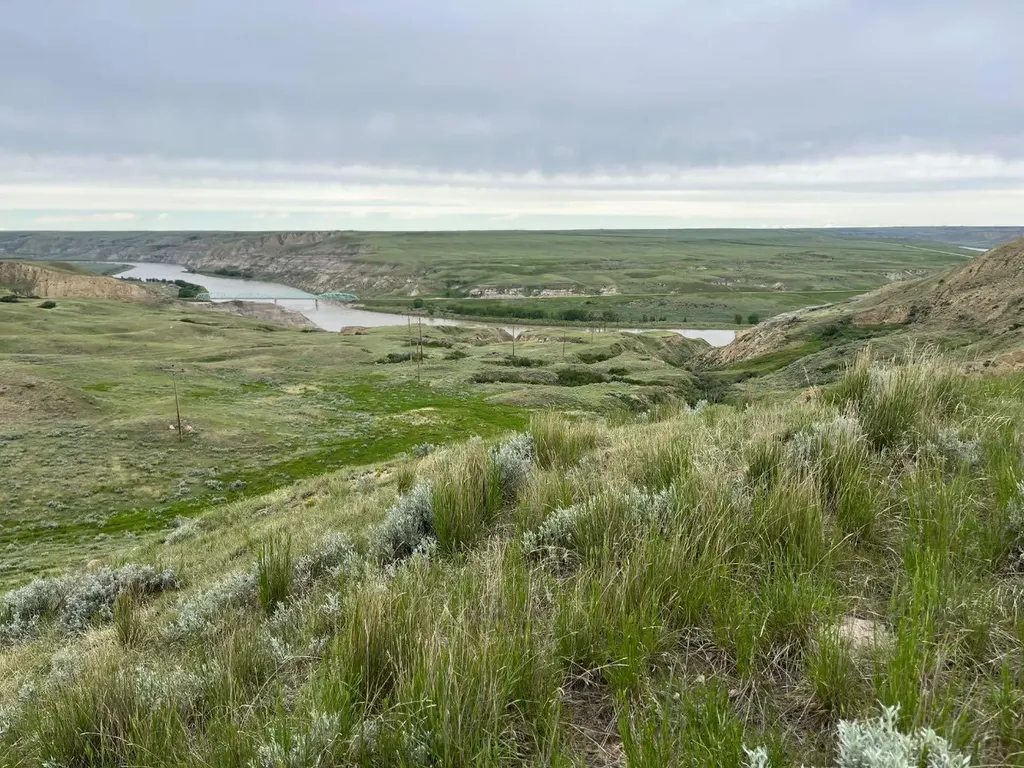 Ne, NW 27 20 1 W4, All Sec 28 20 1 W4, SE 29&se 34 Rural Cypress County AB T0J 0H0