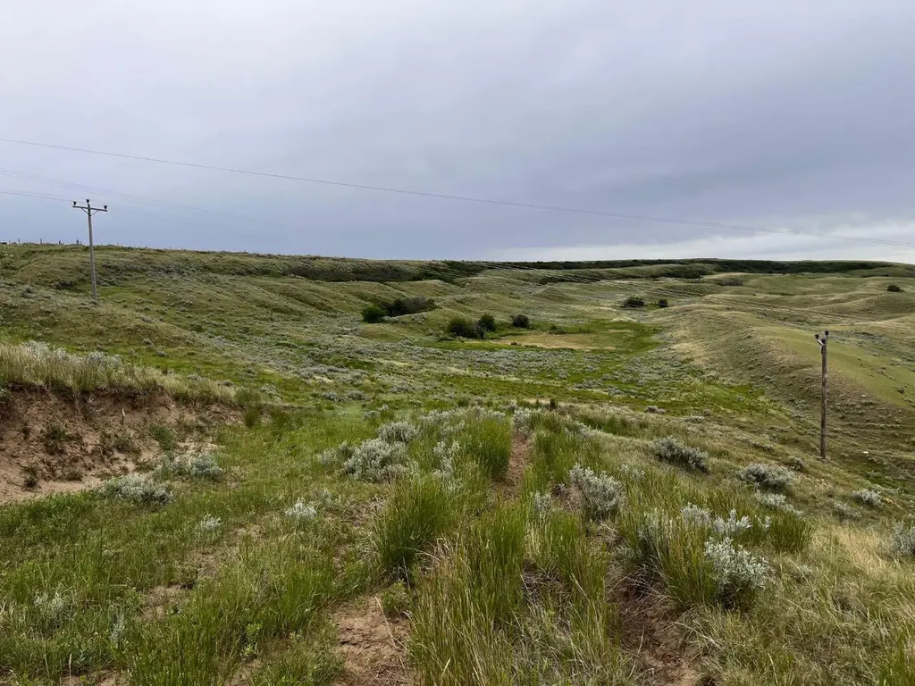 Ne, NW 27 20 1 W4, All Sec 28 20 1 W4, SE 29&se 34 Rural Cypress County AB T0J 0H0