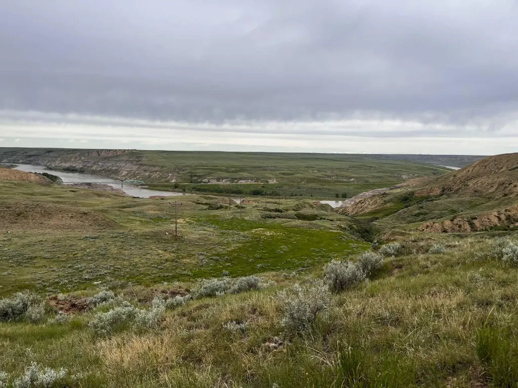 Ne, NW 27 20 1 W4, All Sec 28 20 1 W4, SE 29&se 34 Rural Cypress County AB T0J 0H0