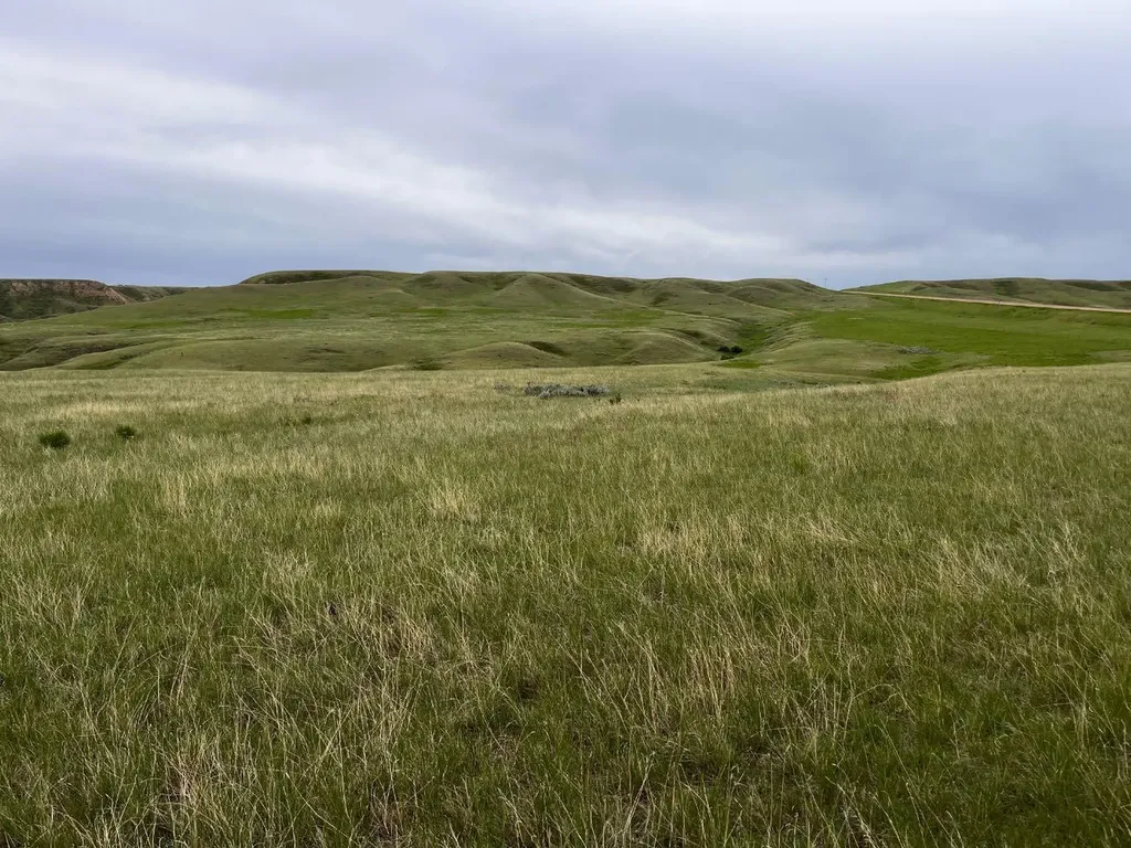 Ne, NW 27 20 1 W4, All Sec 28 20 1 W4, SE 29&se 34 Rural Cypress County AB T0J 0H0