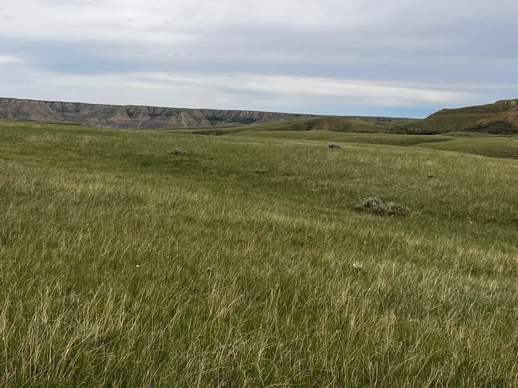 Ne, NW 27 20 1 W4, All Sec 28 20 1 W4, SE 29&se 34 Rural Cypress County AB T0J 0H0