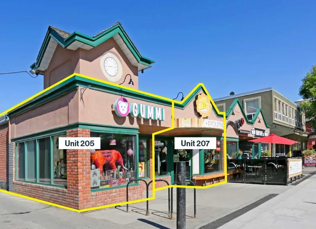 205 10 Street NW Calgary AB T2N 1V5