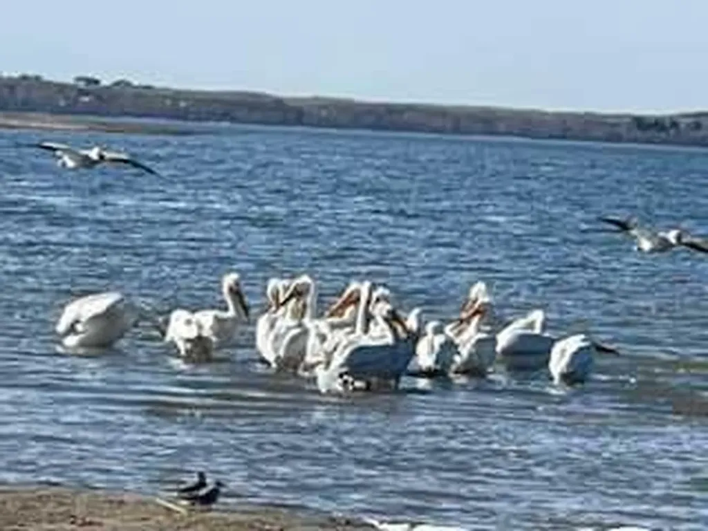 606 Pigeon Close Pelican Point AB T0B 0H0