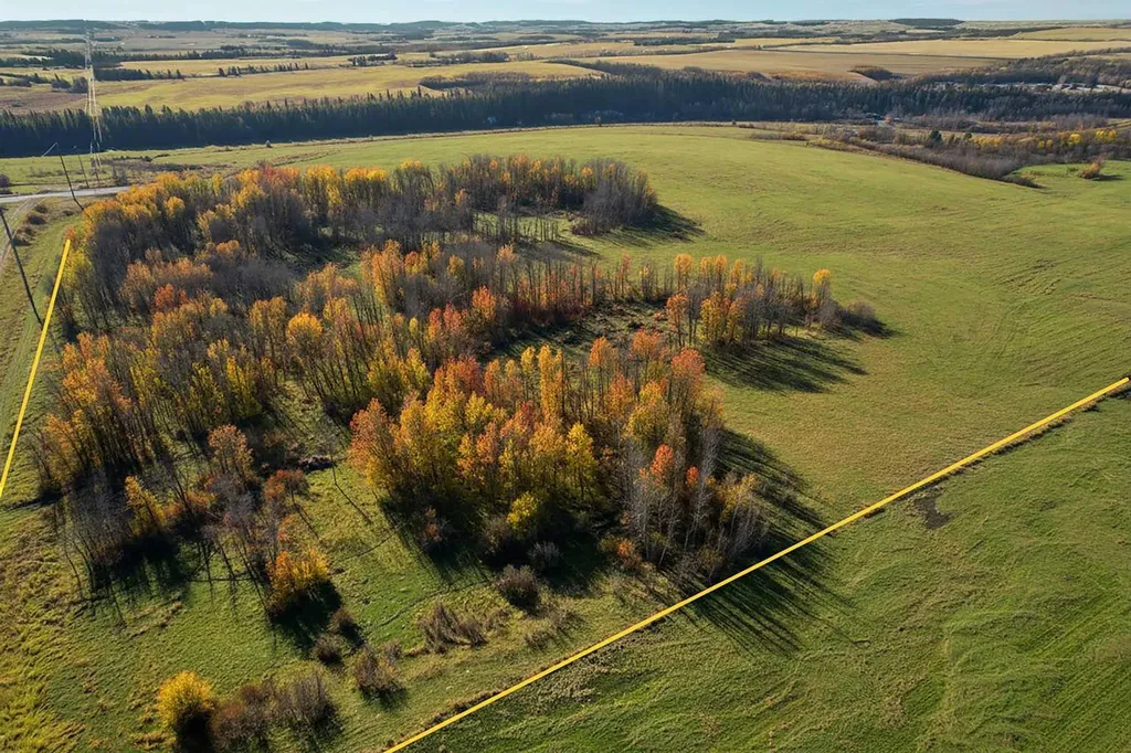 On Highway 11 Rural Lacombe County AB T4P 1A3