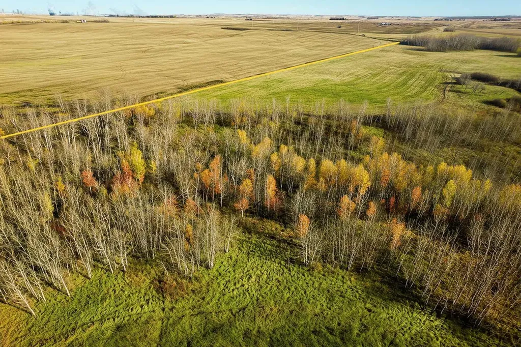 On Highway 11 Rural Lacombe County AB T4P 1A3