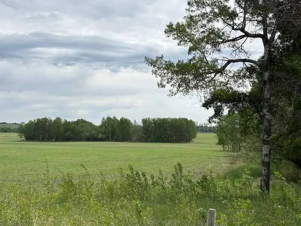 29419 Range Road 45 Rural Mountain View County AB T0M 2E0