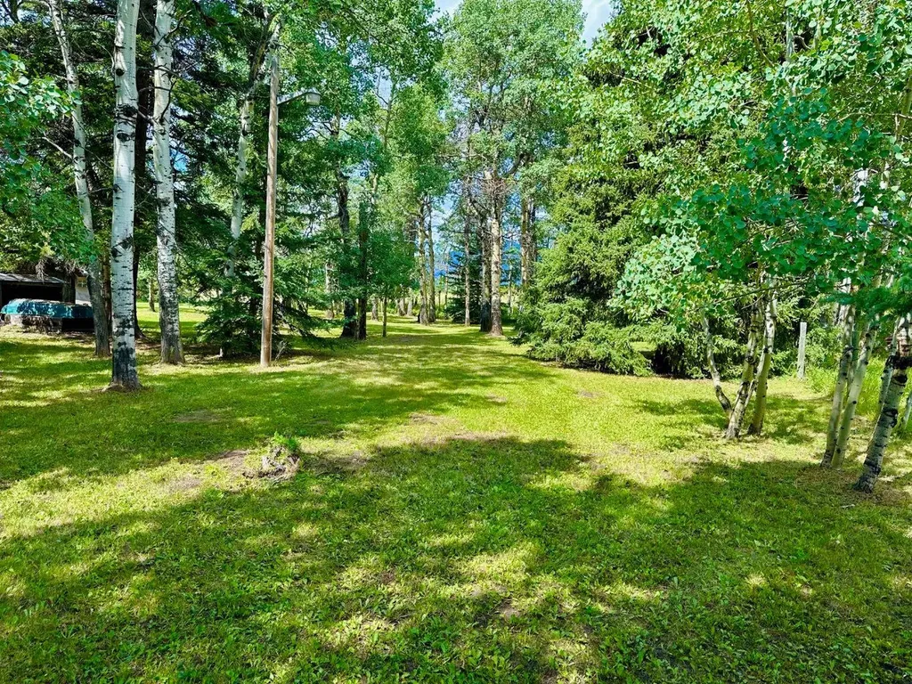 23005 27 Avenue Bellevue AB T0K0C0