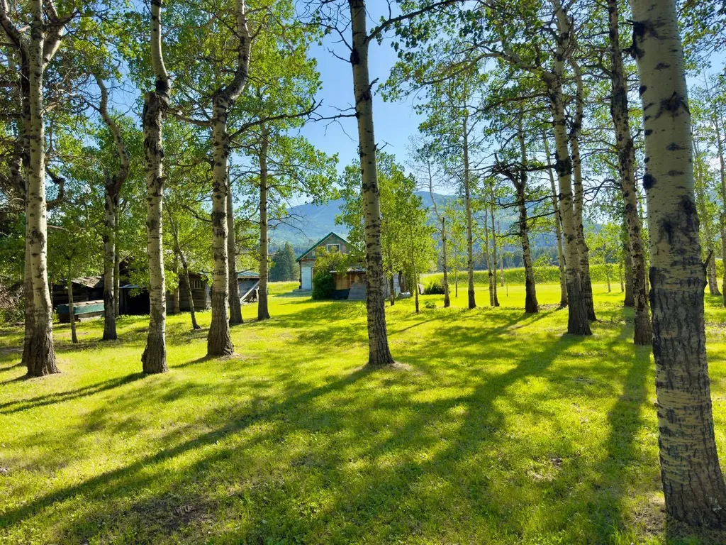 23005 27 Avenue Bellevue AB T0K0C0