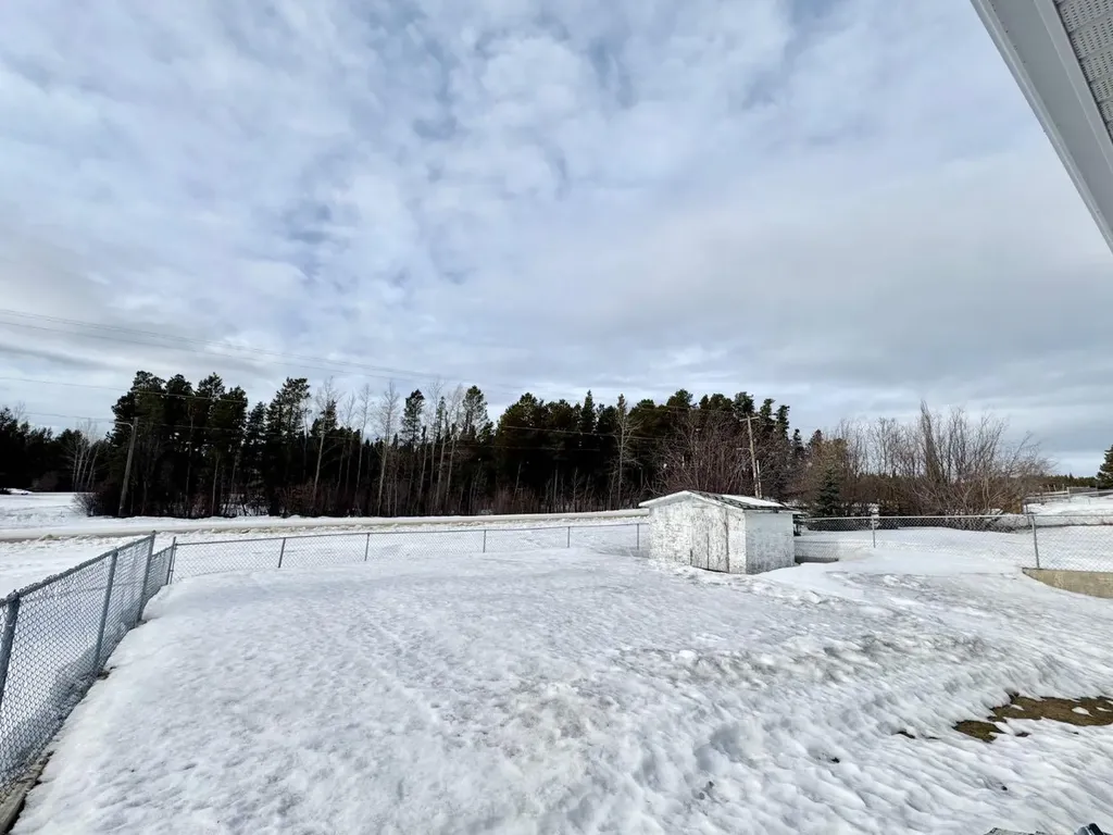 21 Tressa Street Swan Hills AB T0G2C0