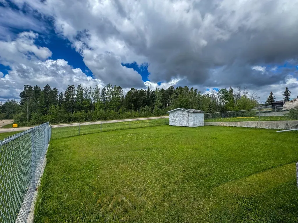 21 Tressa Street Swan Hills AB T0G2C0