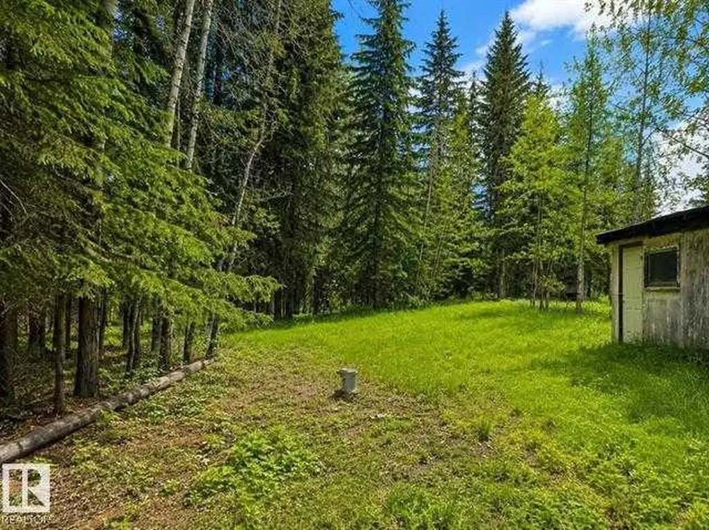 5115 Twp Road 490a Rural Brazeau County AB T0C 0C0