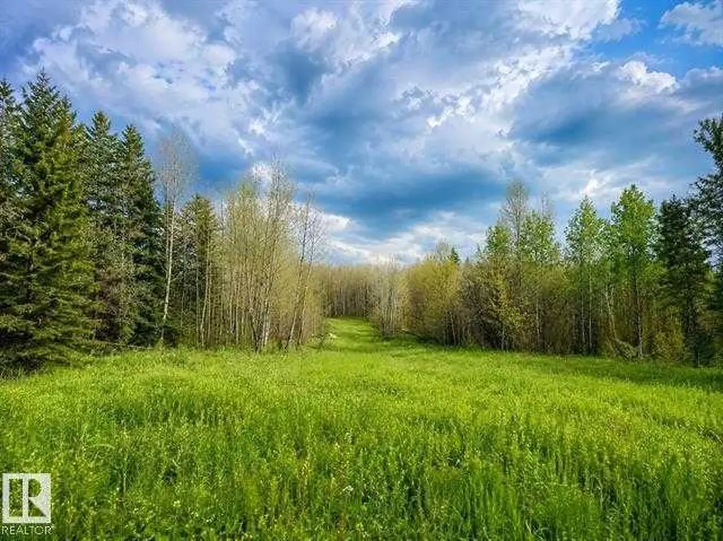 5115 Twp Road 490a Rural Brazeau County AB T0C 0C0