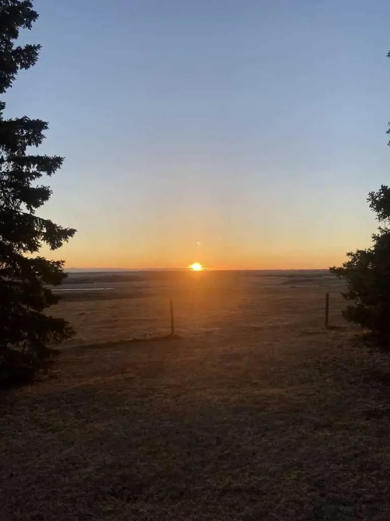 322060 Range Road 261 Rural Kneehill County AB T0M 2B0
