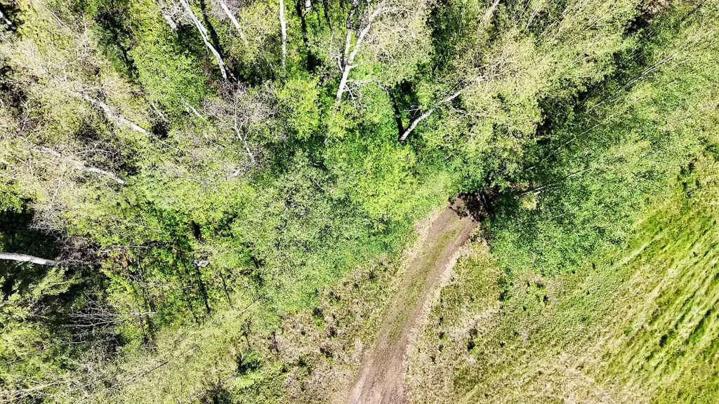 13 Hidden Valley Close Rural Clearwater County AB T4T 2A2