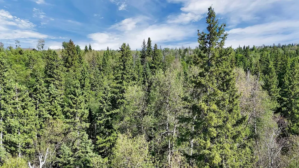 13 Hidden Valley Close Rural Clearwater County AB T4T 2A2