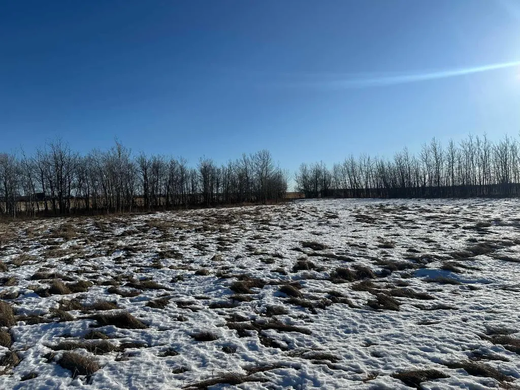 NW-18-77-4-W6 Township Road 773 Peoria AB T0H 3G0