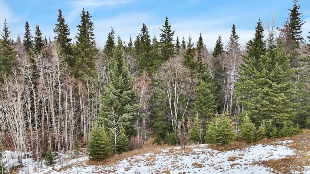 17 Hidden Valley Close Rural Clearwater County AB T4T 2A2