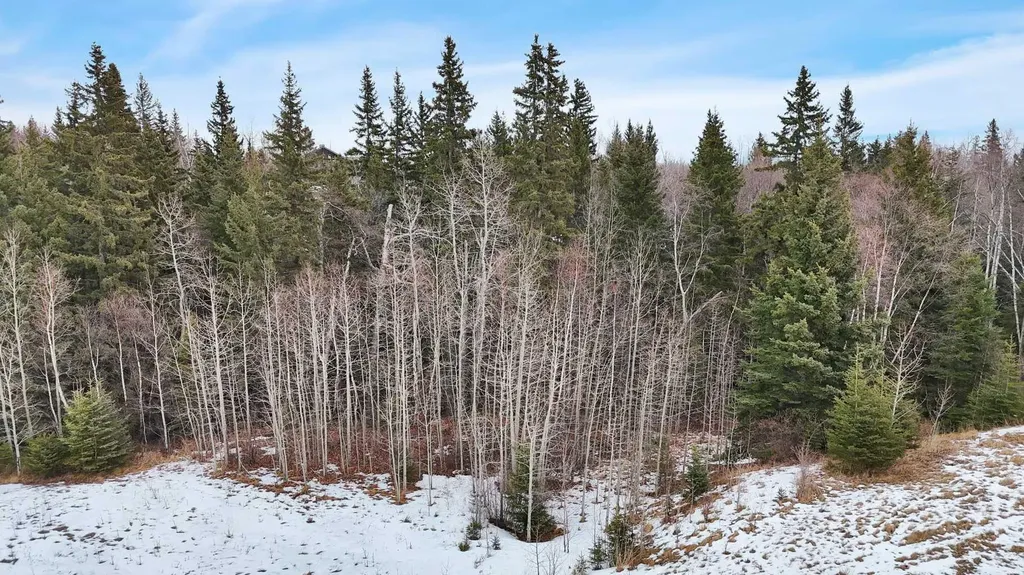 17 Hidden Valley Close Rural Clearwater County AB T4T 2A2