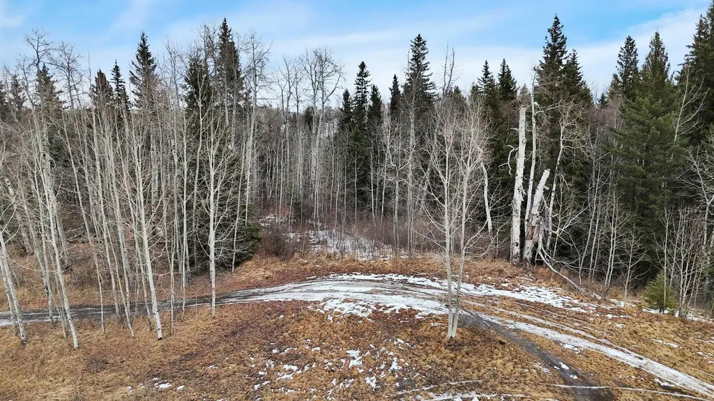 17 Hidden Valley Close Rural Clearwater County AB T4T 2A2