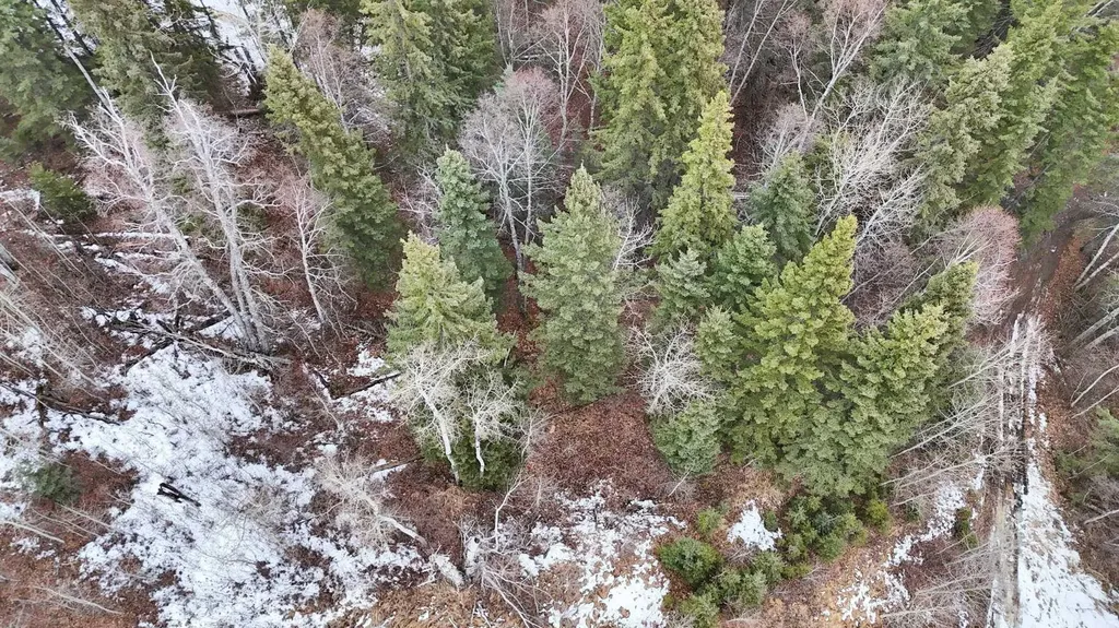 17 Hidden Valley Close Rural Clearwater County AB T4T 2A2