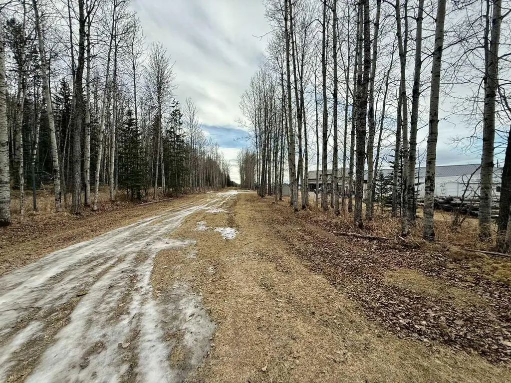 24403 East River Road Hinton AB T7V 0A3