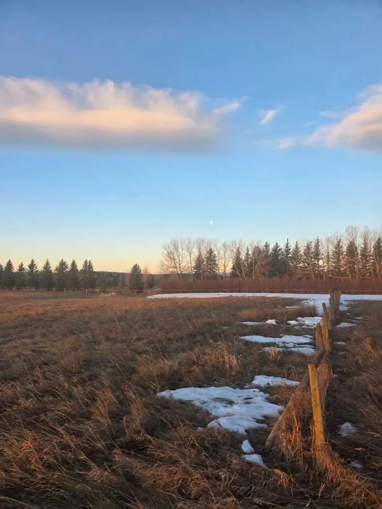 10 Acres - Township Road 240a Rural Rocky View County AB T3Z2Y1