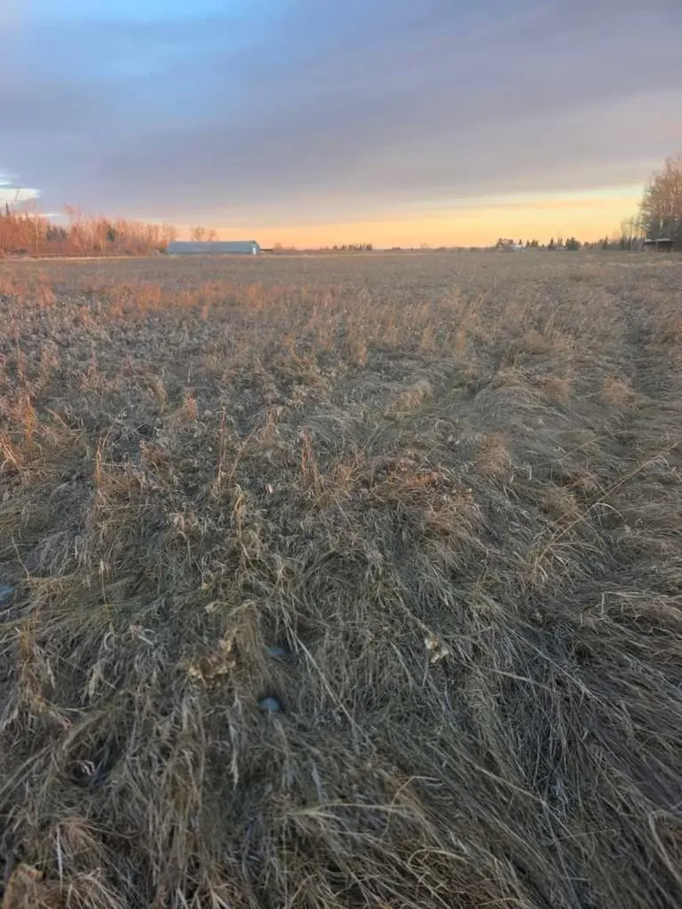 10 Acres - Township Road 240a Rural Rocky View County AB T3Z2Y1