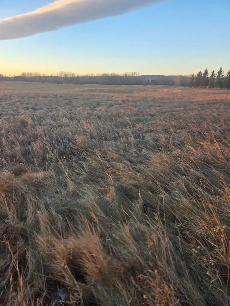 10 Acres - Township Road 240a Rural Rocky View County AB T3Z2Y1