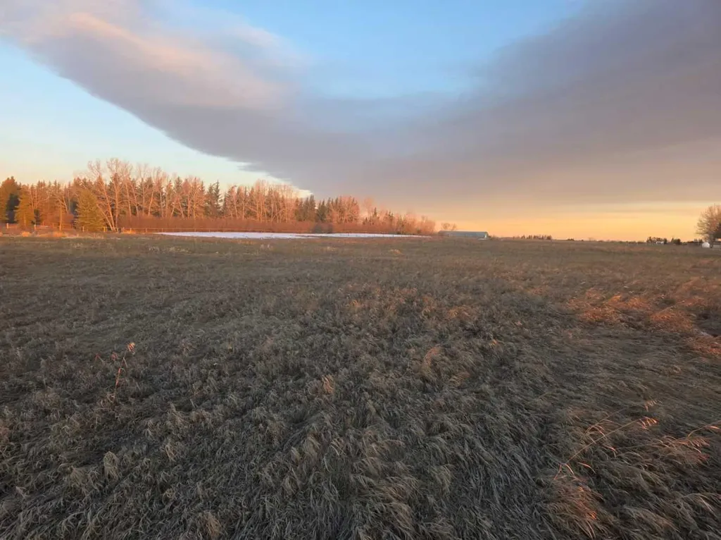 10 Acres - Township Road 240a Rural Rocky View County AB T3Z2Y1
