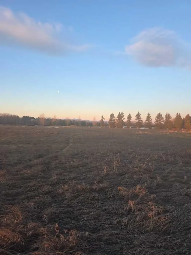 10 Acres - Township Road 240a Rural Rocky View County AB T3Z2Y1