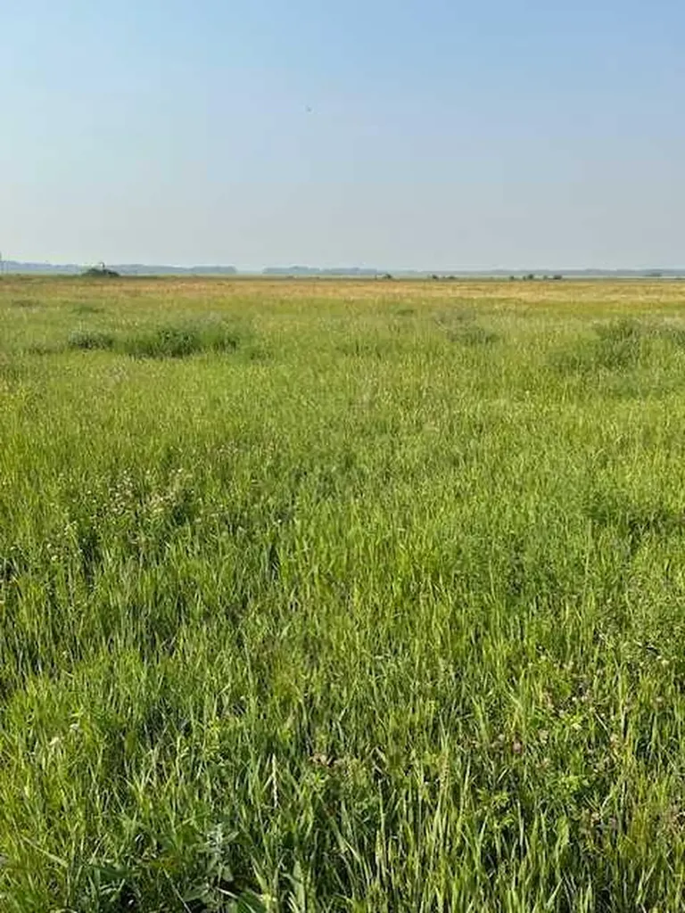 18142 Township Road 1102 Rural Mackenzie County AB T0H 1Z0