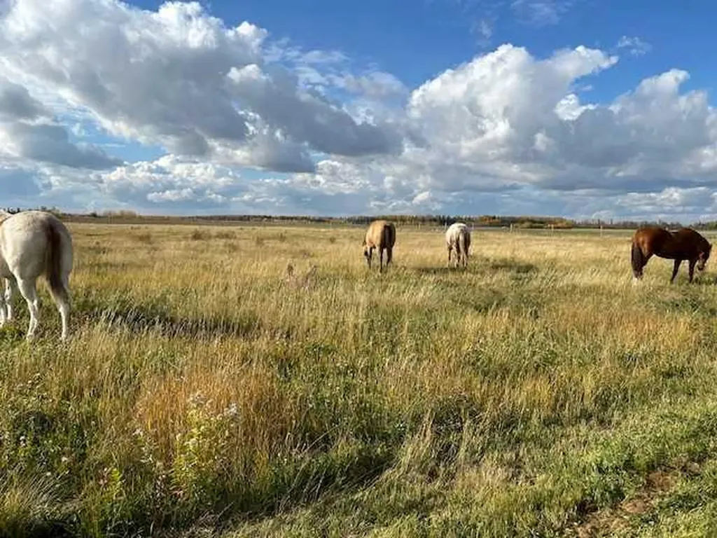 18142 Township Road 1102 Rural Mackenzie County AB T0H 1Z0