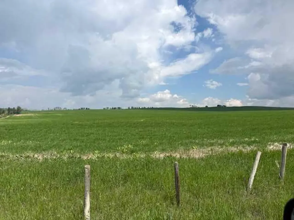 Township Road #283 Rural Rocky View County AB T4C 1A1