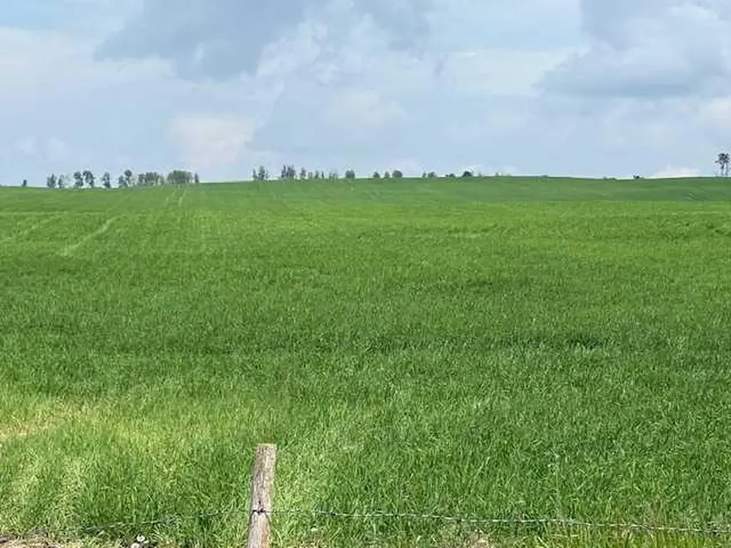 Township Road #283 Rural Rocky View County AB T4C 1A1
