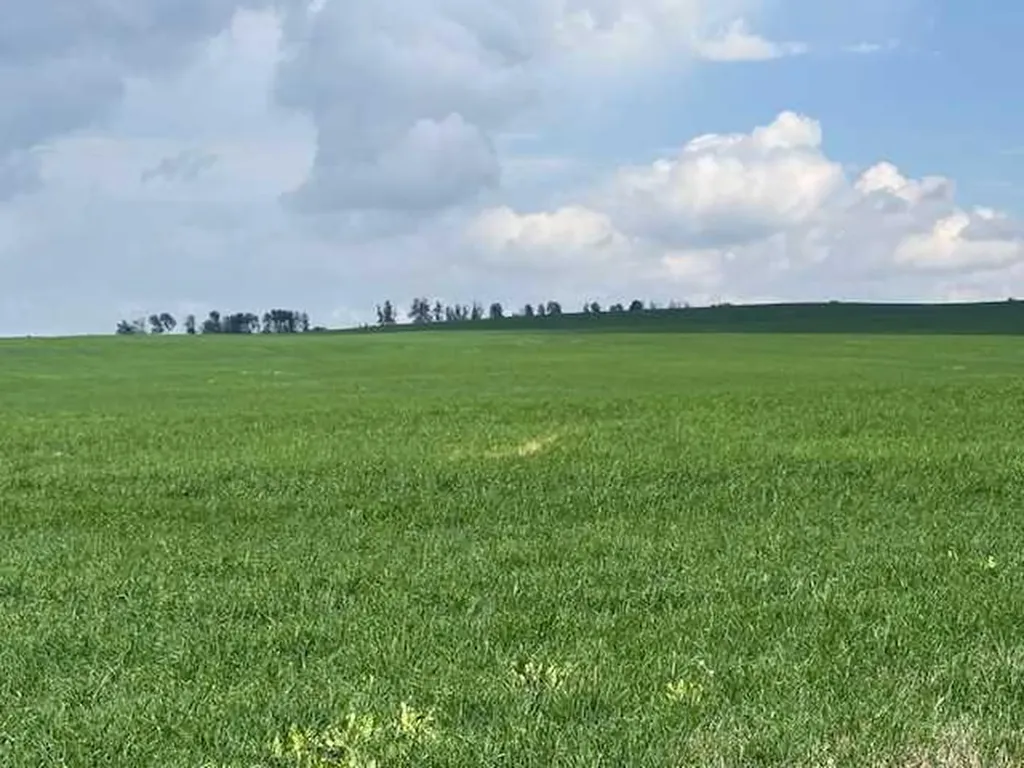 Township Road #283 Rural Rocky View County AB T4C 1A1