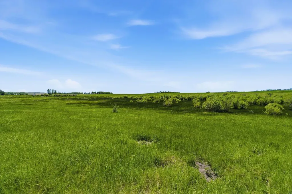 306085 92 Street E Rural Foothills County AB T0L 0X0