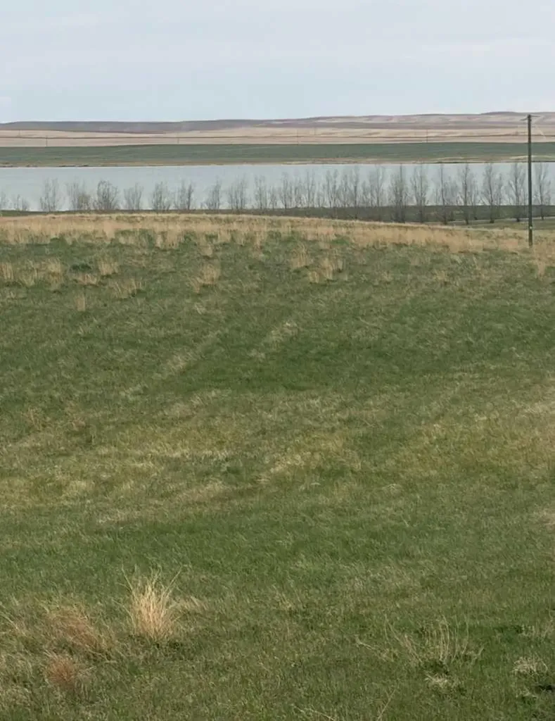 4 21 17 20 NE Rural Vulcan County AB T0L 1L0
