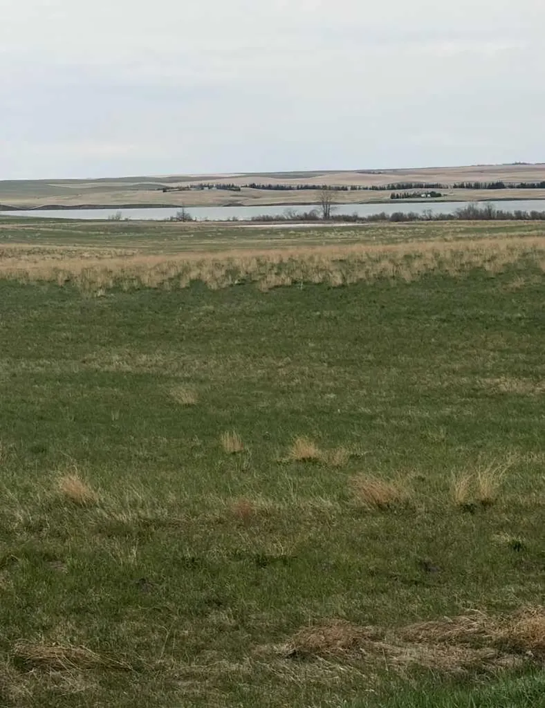 4 21 17 20 NE Rural Vulcan County AB T0L 1L0