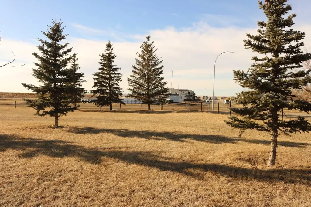 447 Henricks Drive Irricana AB T0M 1B0