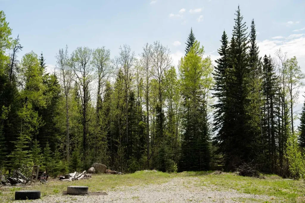 4B-24425 East River Road Hinton AB T7V 0A3