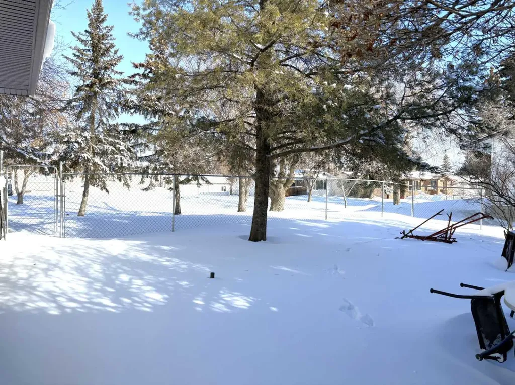 4812 47 Avenue Forestburg AB T0B 1N0