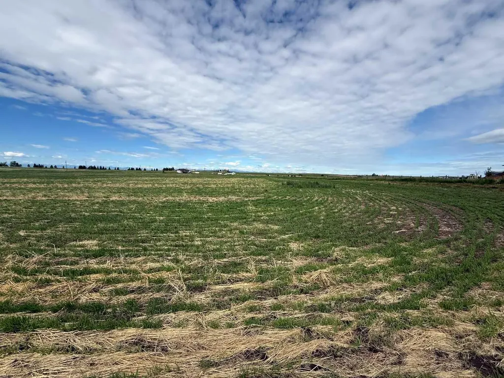 23.26 Acres Along 48 Street E Rural Foothills County AB T1V 1M3
