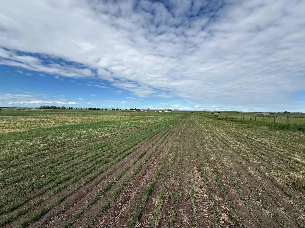 23.26 Acres Along 48 Street E Rural Foothills County AB T1V 1M3