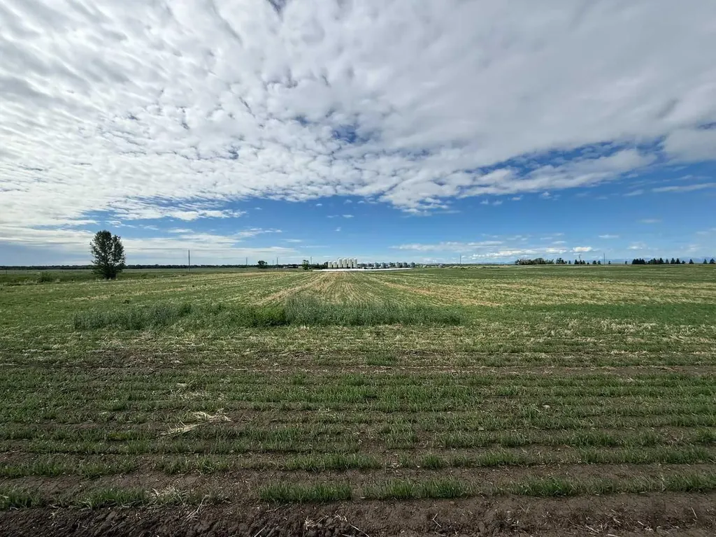 23.26 Acres Along 48 Street E Rural Foothills County AB T1V 1M3