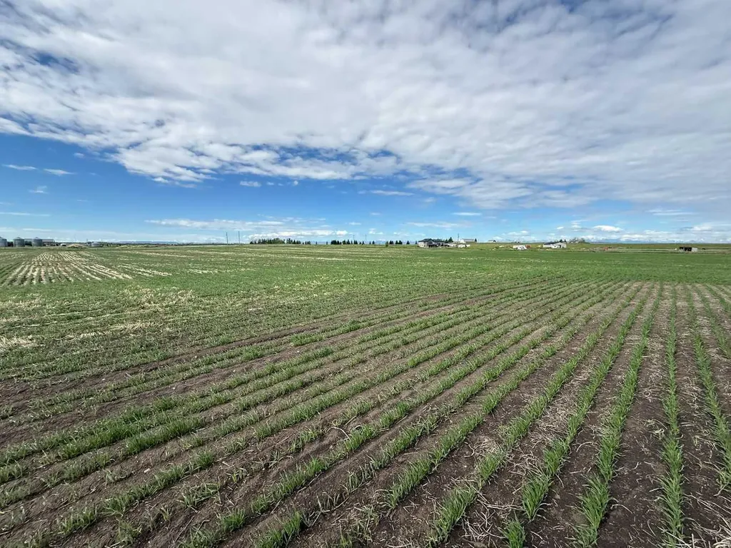 23.26 Acres Along 48 Street E Rural Foothills County AB T1V 1M3