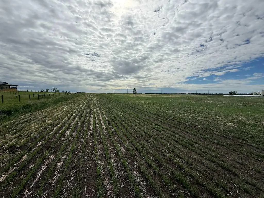 23.26 Acres Along 48 Street E Rural Foothills County AB T1V 1M3