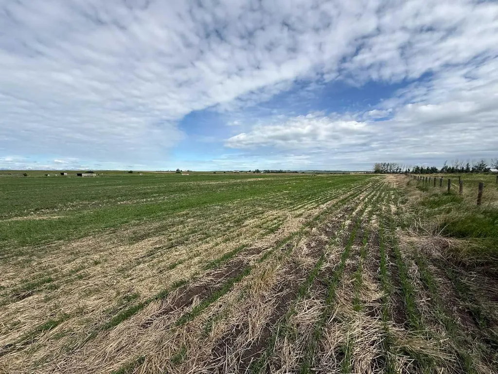 23.26 Acres Along 48 Street E Rural Foothills County AB T1V 1M3